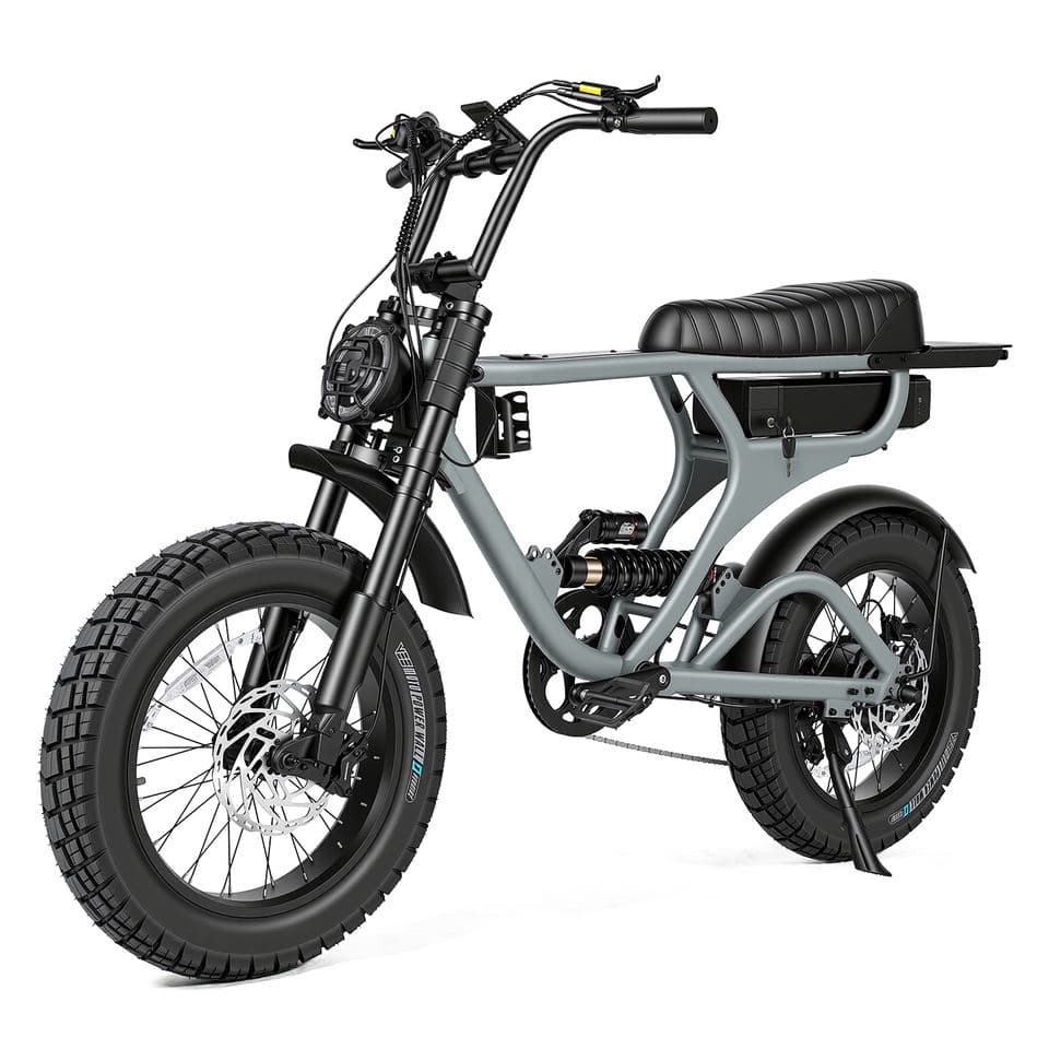 250W All-Terrain Fat Tire E-Bike from ZUMIBIKE