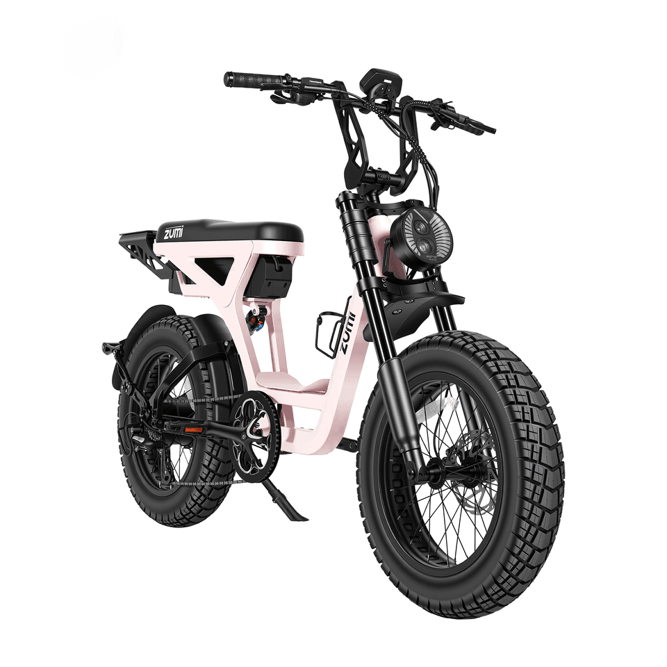 250W Full Suspension Fat Tire E-Bike from ZUMIBIKE